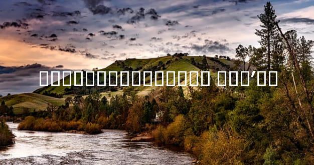 ��̥���������ﳬ�� ��̥ʹ��